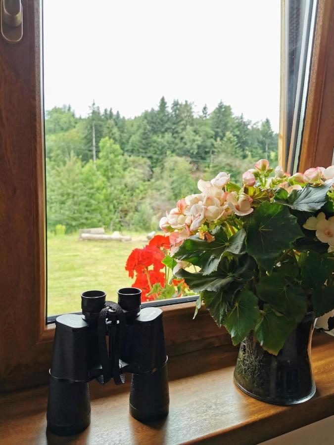 Wies Odnowa Łabowa Exterior foto
