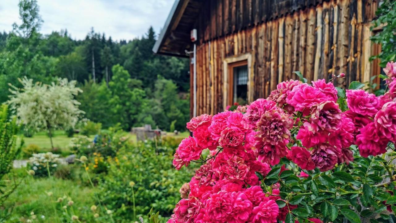 Wies Odnowa Łabowa Exterior foto