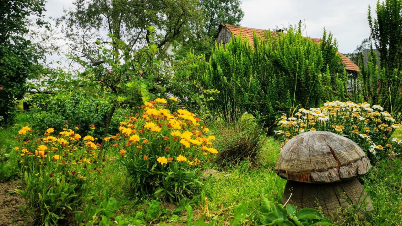 Wies Odnowa Łabowa Exterior foto