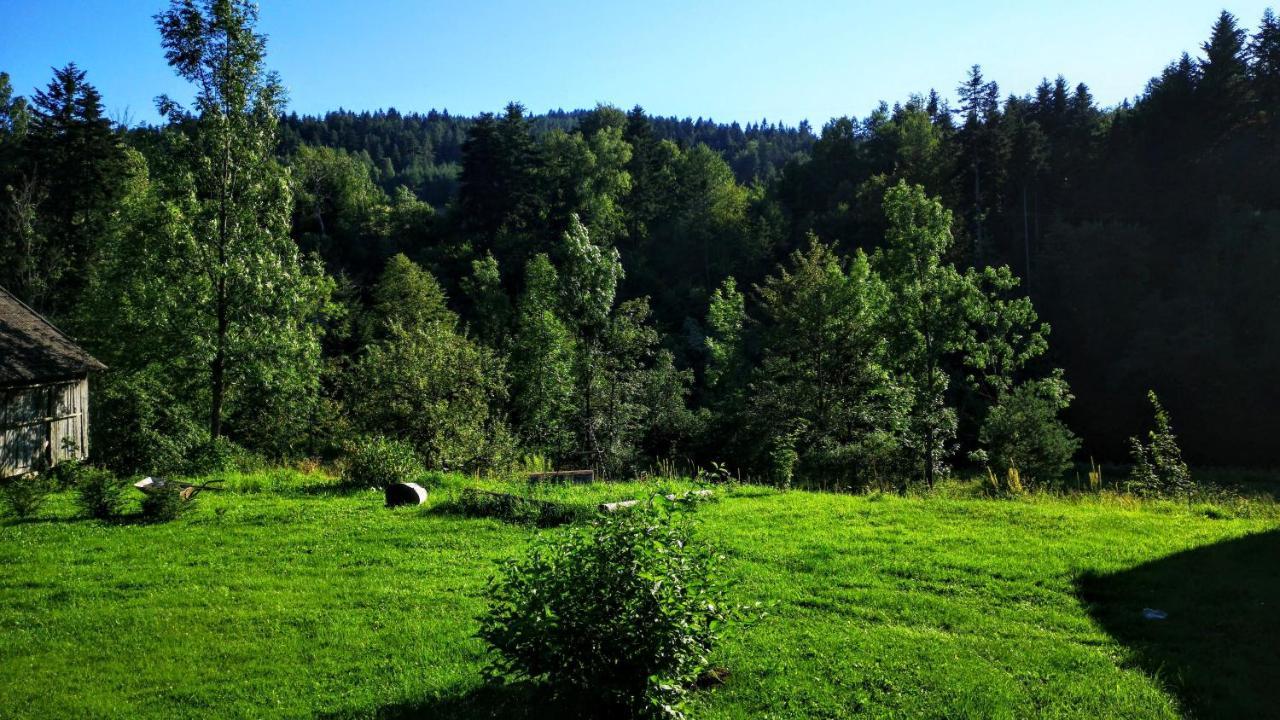Wies Odnowa Łabowa Exterior foto