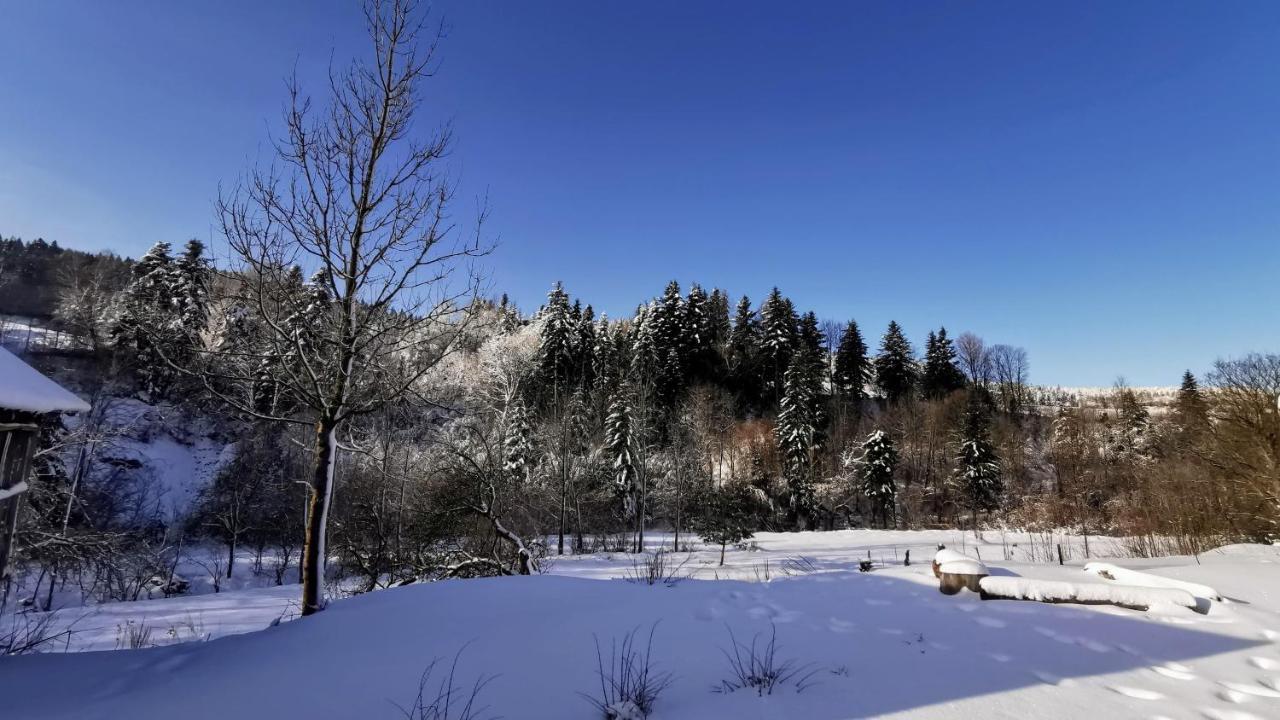 Wies Odnowa Łabowa Exterior foto